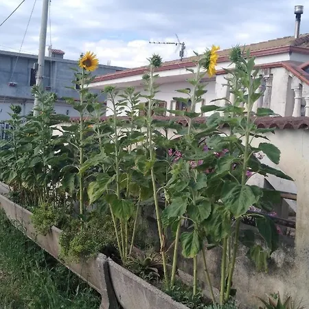 Sloneczna Calabria Ali *
