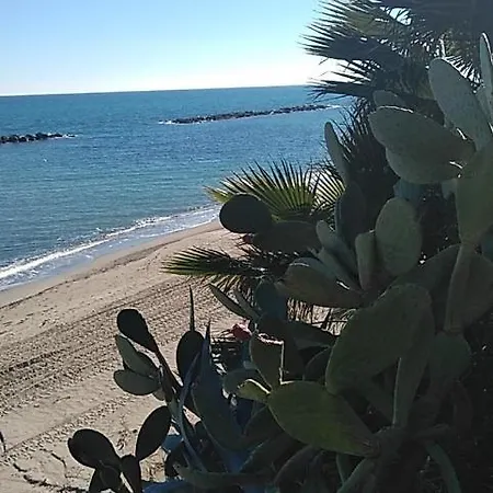 Sloneczna Calabria Ali